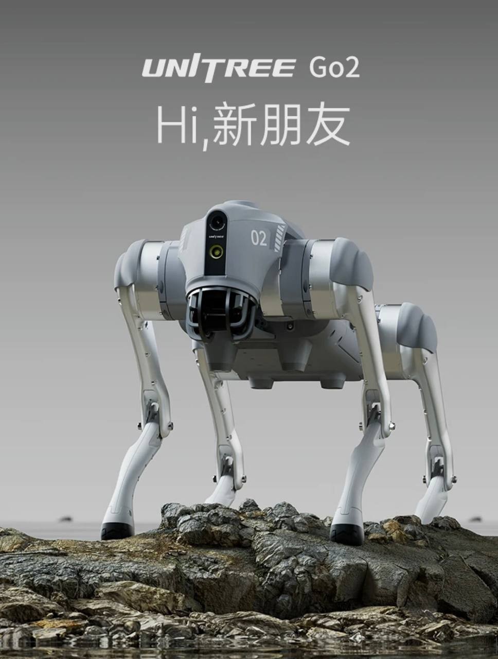 robot dog