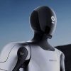 Dolphin Atom Universal Intelligent AI Robot