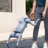 Unitree Go2-AIR