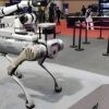 Yushu Robot Dog G02eduB1